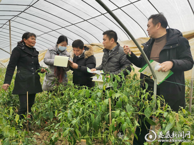 娄底市农业农村局:强化节前农产品抽检 确保“舌尖上的安全”