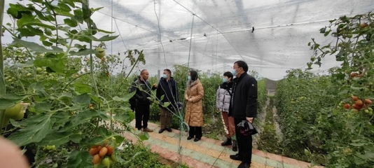 刘明鹤带队赴衢江、龙游开展雨雪冰冻防御及农村疫情防控检查指导