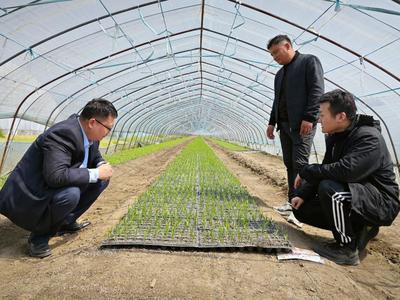 撒下项目种子 收获振兴希望--学校驻村干部积极发挥党员先锋模范作用