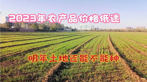 2023年农产品价格全线 崩溃 ,明年土地还能不能种 答案来了