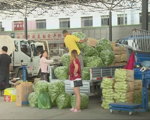 本地瓜果蔬菜主导市场