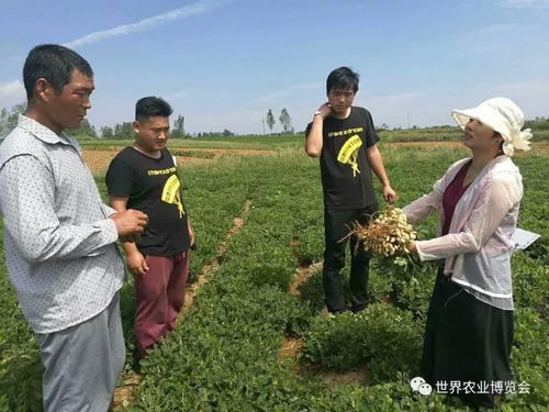 2017中原种衣剂杯 首届黄淮海 农资农机英雄榜 农药 种衣剂类产品晋级半决赛展示 36个